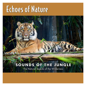 日韩丰满少妇无码内射
